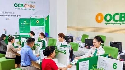 Có ngân hàng trả cổ tức bằng tiền mặt, có ngân hàng để tăng vốn
