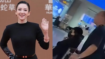 Chương Tử Di bất ngờ ngã trên sân khấu, phải ngồi xe lăn sau tai nạn