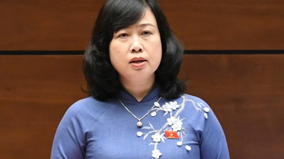 Minister Dao Hong Lan reports to the National Assembly on the promise to manage cosmetics and functional foods.