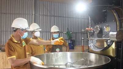 Cooperativa Bechamp Dak Nong, pionera en agricultura ecológica