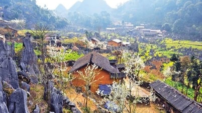 Plateau pierreux de Dong Van : levier de développement socio-économique durable dans l'Extrême-Nord