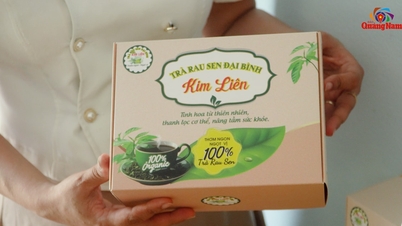 Đưa rau sen Đại Bình thành loại trà nứt hương