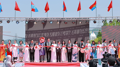 Inauguración del Festival “Corazones de Vietnam: 50 años latiendo juntos” en Japón