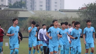 Les résultats des matchs du Phu Tho Club ont été annulés