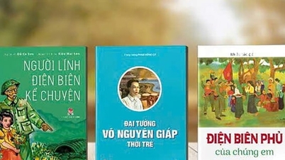 Páginas de libros que recrean la "historia dorada" de Dien Bien Phu