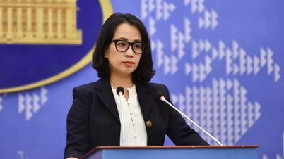 Entrega de una nota diplomática en protesta por las actividades que violan la soberanía de Vietnam en Truong Sa