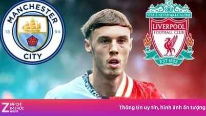 Man City und Liverpool wollen mit Palmer überraschen
