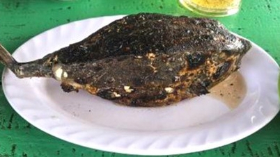 Bè ở Nha Trang bán 1kg cá bò hòm 3,5 triệu đồng, du khách choáng váng
