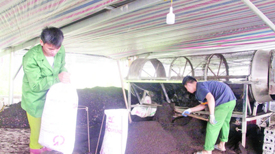 Son La promotes circular agricultural production