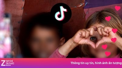 Невероятный доход TikTok от «выпрашивания сетей»