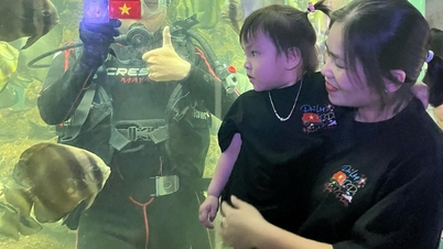 Bảo tàng Hải dương học hút khách tham quan