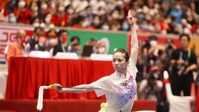 国民体育大会の競技数を決定します。