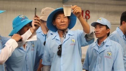 “Quang Ninh has given me trust and I want to respond with the sustainable values ​​that Viet Uc can bring”