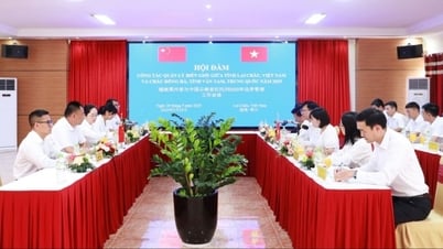 Lai Chau (Vietnam) – Hong Ha (China) kooperieren bei Grenzmanagement und Entwicklung