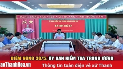 ホットスポット5/30: 中央検査委員会が規則に違反した党員を懲戒