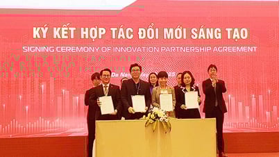 Da Nang: Nearly 40 startup projects call for investment capital at DAVAS 2025