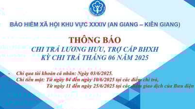 Notice of pension and social insurance benefits payment June 2025