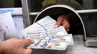 Цена на свинину 30 мая 2025 г.: во многих провинциях и городах зафиксирован новый рост