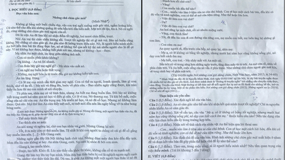 Comentarios y respuestas sugeridas para el examen de Literatura