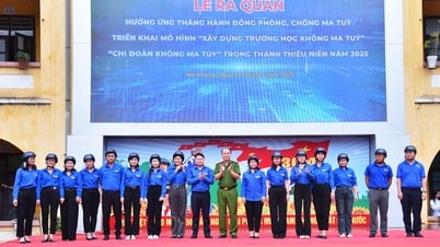 청소년을 대상으로 '마약 없는 학교'와 '마약 없는 청소년 모임' 모델 구축