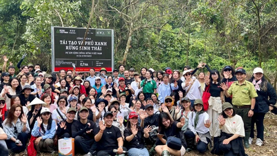 Ninh Binh: Gemeinsam zum Schutz und zur Entwicklung der Wälder in der Gemeinde