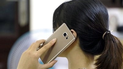 Tin lời được 'du học quốc tế', nữ sinh viên sập bẫy lừa đảo mất 390 triệu đồng