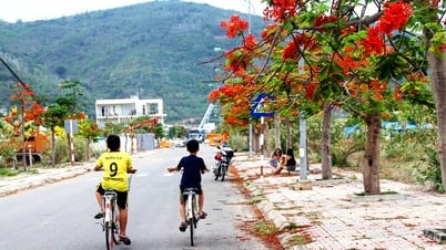 Những ngày mùa hạ