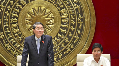 អនុប្រធានរដ្ឋសភា លោក Nguyen Duc Hai បានជួបសន្ទនាជាមួយគណៈប្រតិភូរដ្ឋសភា Quang Nam