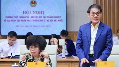 មហាសេដ្ឋី Tran Ba​ Duong និយាយអំពីការចូលរួមរបស់ THACO ក្នុងគម្រោងផ្លូវរថភ្លើងល្បឿនលឿនខាងជើង-ខាងត្បូង
