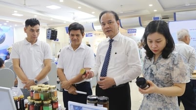 ハイフォンにおける研究機関と企業の技術需給連携セッション