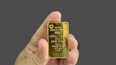 سعر الذهب عصر اليوم 30 مايو 2025: أسعار الذهب المحلية والعالمية تواصل الارتفاع
