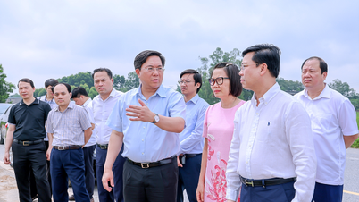 Kiểm tra thực địa, tháo gỡ khó khăn, vướng mắc tại khu công nghiệp trên địa bàn các huyện Tam Dương, Yên Lạc, Bình Xuyên