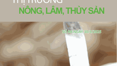 Bản tin Thị trường Nông lâm thủy sản số ra ngày 30.05.2025