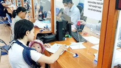 មន្ត្រីរាជការ និងនិយោជិតសាធារណៈដែលមានអាយុក្រោម 45 ឆ្នាំនឹងត្រូវបានគាំទ្រក្នុងការបណ្តុះបណ្តាលវិជ្ជាជីវៈនៅពេលពួកគេចាកចេញពីការងារ។