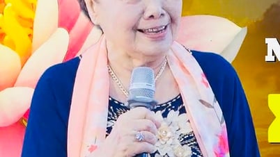 ជួបជាមួយសិល្បករកិត្តិយស Xuan Nam