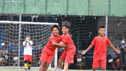4개 팀이 U11 축구 토너먼트 - Dak Nong 신문 컵 2025 준결승에 진출했습니다.