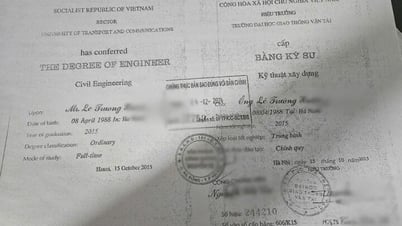 Engineer used fake degree in nearly 600 billion VND bid in Hue