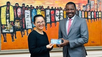 Botschafterin Tran Thi Thu Thin arbeitet mit dem Gouverneur der Zentralbank von Mosambik zusammen