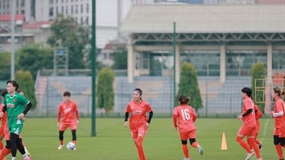 Хюинь Ню: «Молодые игроки быстро догоняют команду»