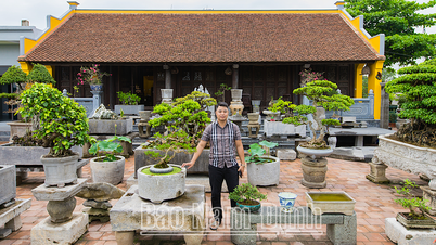 งานอดิเรกอันเป็นเอกลักษณ์ของวัตถุหินโบราณ