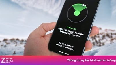 أضاعت شركة أبل فرصة التقدم على ستارلينك