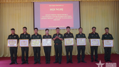 សឺន ឡា៖ សង្ខេបចលនាត្រាប់តាម "វិស័យភស្តុភារយោធា ធ្វើតាមការបង្រៀនរបស់ពូហូ"