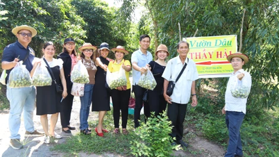 สวนสตรอเบอร์รี่ของคุณครูเก่า