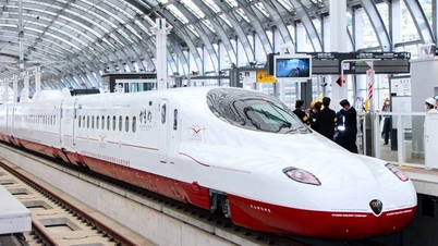 Propuesta de 8 grupos de bienes y servicios ferroviarios para pedidos privados