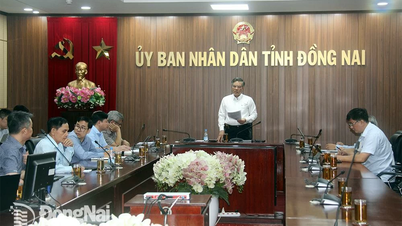 Vice Chairman of the Provincial People's Committee Duong Minh Dung is the Head of the working group implementing the Long Thanh Concentrated Information Technology Park Project.