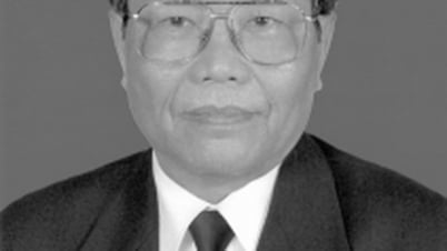Lãnh đạo Nhật Bản gửi điện chia buồn nguyên Chủ tịch nước Trần Đức Lương từ trần