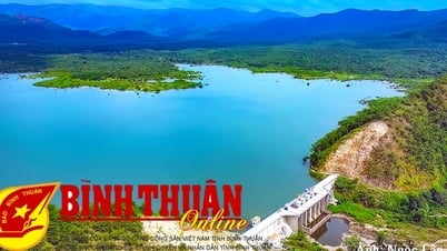 Nghe và thấy: Chia nước xuống đồng bằng