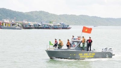 Effektive Koordination zwischen Funktionskräften zur Verhinderung von Schmuggel in Quang Ninh