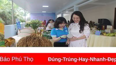 Đề án 939 giúp phụ nữ sáng tạo và khởi nghiệp hiệu quả