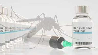Đã mắc sốt xuất huyết có nên tiêm ngừa vaccine không?